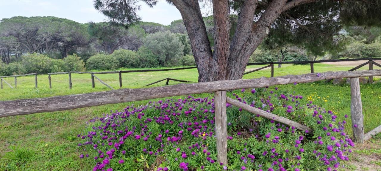 Dolce Casa Baia Sant'Anna - בודוני מראה חיצוני תמונה